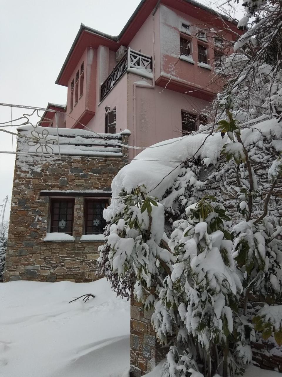 Guesthouse Iris Tsagarada Exterior foto